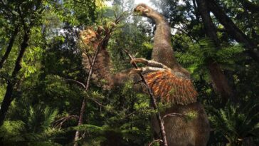 Les dinosaures à deux doigts ont utilisé ses énormes griffes pour manger des feuilles