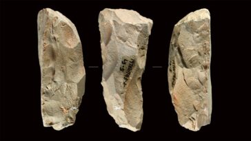 Les outils de type NEANDERTAL trouvés en Chine présentent un mystère