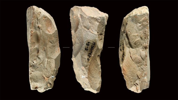 Les outils de type NEANDERTAL trouvés en Chine présentent un mystère