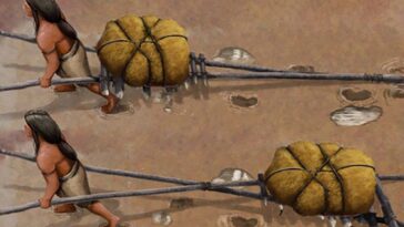 Les pistes de 22 000 ans sont les premières preuves des véhicules de transport