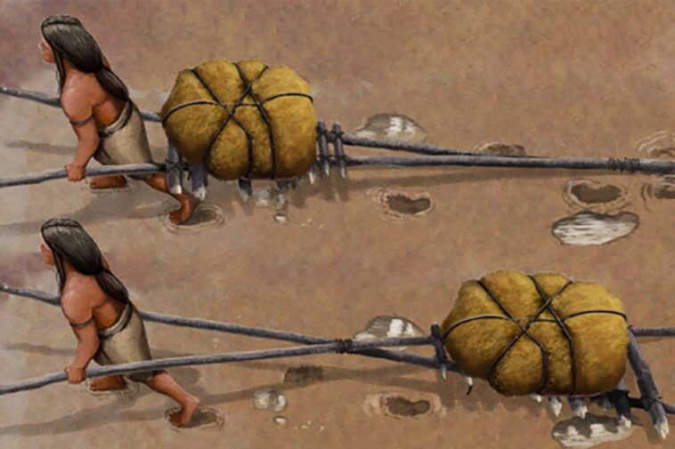 Les pistes de 22 000 ans sont les premières preuves des véhicules de transport