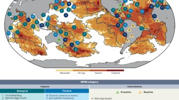 Les scientifiques mettent en évidence une augmentation alarmante des vagues de chaleur marine dans le monde entier