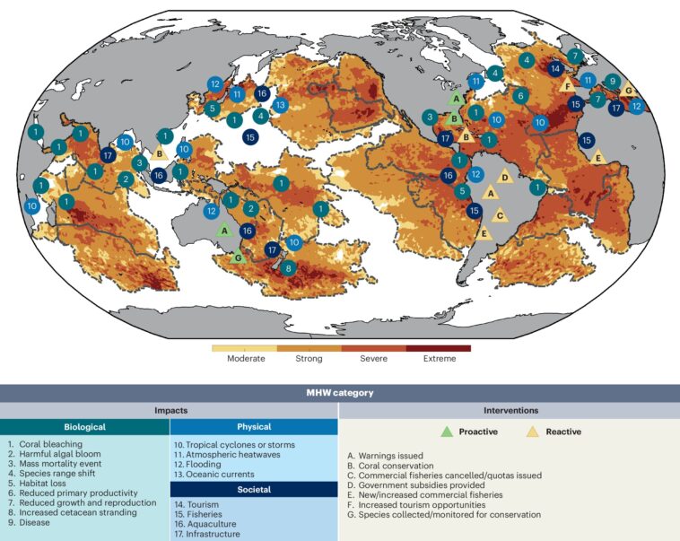 Les scientifiques mettent en évidence une augmentation alarmante des vagues de chaleur marine dans le monde entier