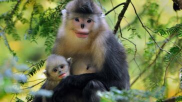 New Scientist. Science news and long reads from expert journalists, covering developments in science, technology, health and the environment on the website and the magazine.