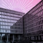 McLaurine Pinover, le défenseur Doge PR d'Elon Musk, montre une éthique douteuse et un style discutable