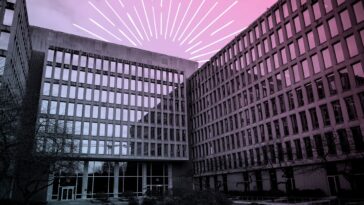 McLaurine Pinover, le défenseur Doge PR d'Elon Musk, montre une éthique douteuse et un style discutable