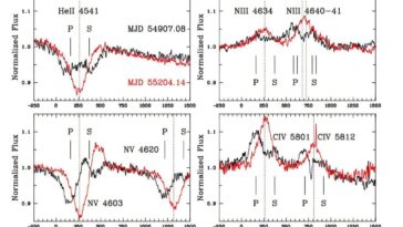 Melnick 39 est un système binaire en collision, les observations trouvent