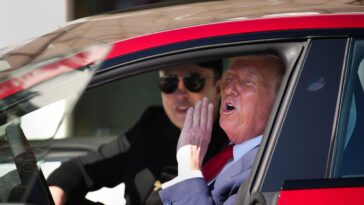 Même le petit défilé de Tesla de Donald Trump à la Maison Blanche n'a pas aidé la valeur nette d'Elon Musk