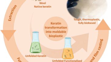 Mise à niveau de la kératine pour fabriquer un plastique biodégradable