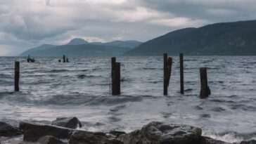 Nessie aime une journée d'été ensoleillée - comment les anecdotes deviennent des données
