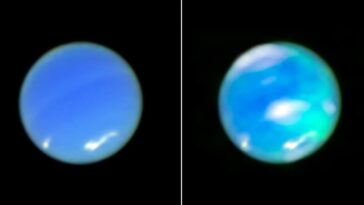 Nous avons repéré Auroras sur Neptune pour la première fois