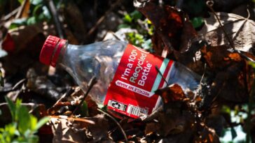Plus d'un milliard de livres de déchets plastiques de coke pour entrer dans les voies navigables: étude