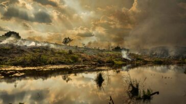 Plus de la moitié de la vie sur Terre souffrant de conditions sans précédent