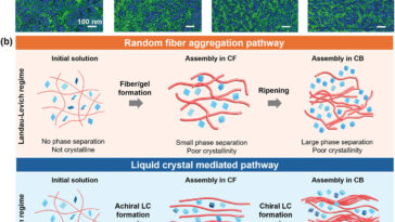 Structures cristallines liquides Clé des performances des cellules solaires organiques, découvre l'étude