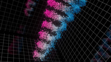 Tornades quantiques dans l'espace de momentum: Première preuve expérimentale d'un nouveau phénomène quantique
