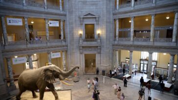 Trump cible le Smithsonian: ce que c'est vraiment son ordre de «mauvaise idéologie»