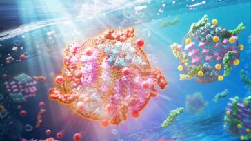 Un catalyseur composite multifonctionnel pour l'assainissement durable des eaux usées