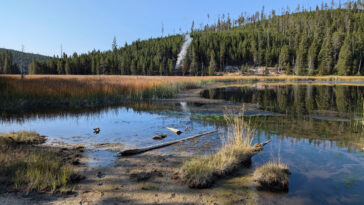 Un nouvel évent à vapeur thermique attire l'attention dans le parc national de Yellowstone en constante évolution