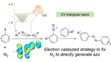 Un voyage aller-retour d'électrons: la catalyse des électrons permet la fixation directe des composés N₂ vers Azo