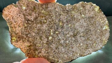 The Mysterious NWA 15915