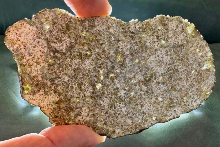 Une météorite étrange peut être une relique de la planète perdue qui n'existe plus The Mysterious NWA 15915