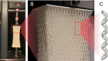Une nouvelle loi donne l'énergie nécessaire pour fracturer les réseaux extensibles