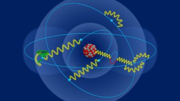 Une nouvelle référence pour l'électrodynamique quantique dans les atomes: mesure de précision du facteur G de l'étain de bore