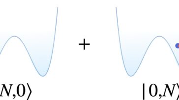 Une surhigle quantique pour les états ultrarapides de midi