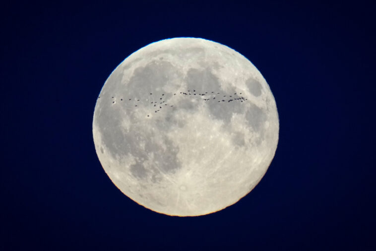 Voici un aperçu de la lune d'atterrissage et des manques