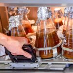 California-Cultured-Cell-Chocolate. Shaker process