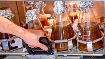 California-Cultured-Cell-Chocolate. Shaker process