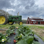 À mesure que le plastique utilise des monnaie