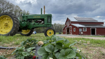 À mesure que le plastique utilise des monnaie