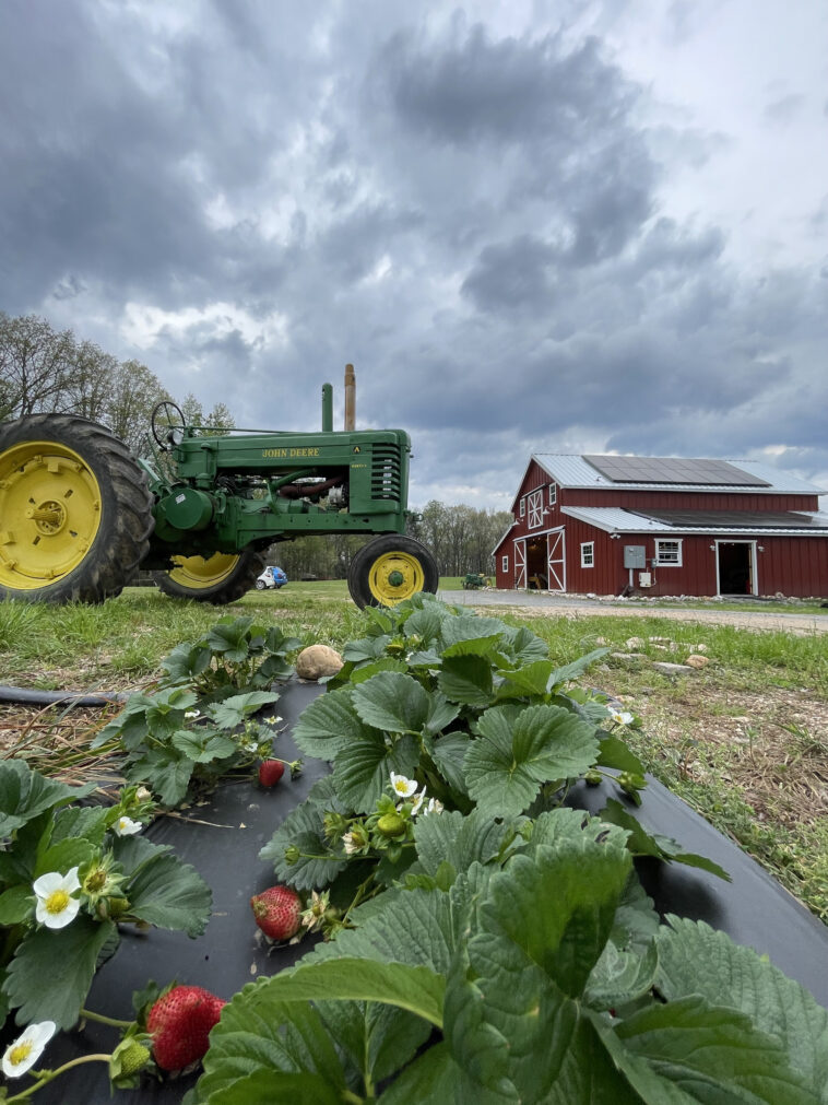 À mesure que le plastique utilise des monnaie