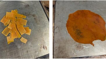 Améliorer la durabilité des plastiques à l'aide de déchets de soufre