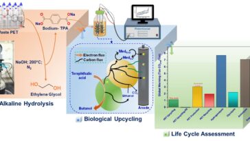 Bio-Faculture durable: clé de la transition verte de l'Inde