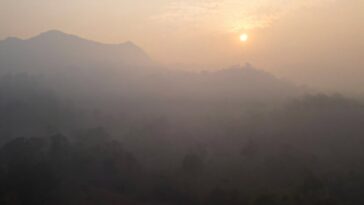 `` C'est parti '': Science de la conservation dans la forêt en feu de Thaïlande
