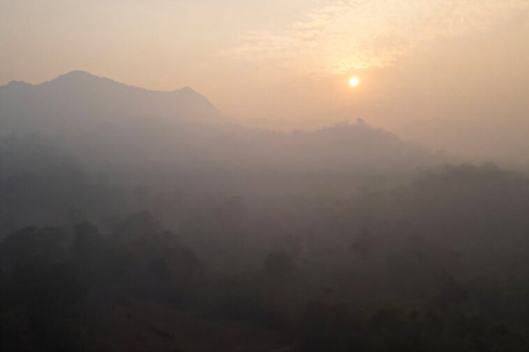 `` C'est parti '': Science de la conservation dans la forêt en feu de Thaïlande