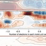 C'est un zoo quantique là-bas, et les scientifiques viennent de trouver une douzaine de nouvelles «espèces»