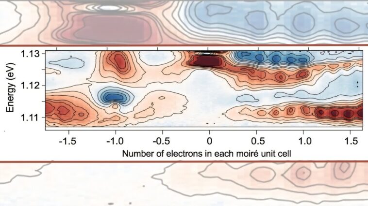 C'est un zoo quantique là-bas, et les scientifiques viennent de trouver une douzaine de nouvelles «espèces»