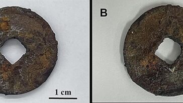 Certains revêtements de résine protecteurs peuvent endommager les artefacts métalliques