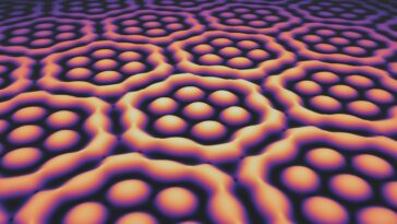 Champs légers avec une structure extraordinaire: sacs skyrmion plasmoniques