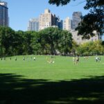 Cinq façons de rendre les villes plus résilientes au changement climatique