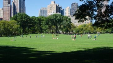 Cinq façons de rendre les villes plus résilientes au changement climatique