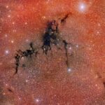 Circinus West: une nébuleuse sombre hébergeant un nid d'étoiles nouvellement formées Circinus West: une nébuleuse sombre hébergeant un nid d'étoiles nouvellement formées