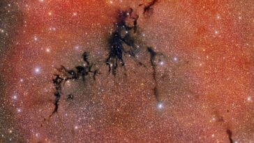 Circinus West: une nébuleuse sombre hébergeant un nid d'étoiles nouvellement formées