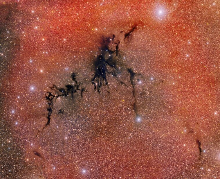 Circinus West: une nébuleuse sombre hébergeant un nid d'étoiles nouvellement formées Circinus West: une nébuleuse sombre hébergeant un nid d'étoiles nouvellement formées