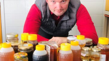 Combattre la fraude au miel avec la technologie de l'IA