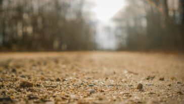 Comment un jour de pluie et un poisson capricieux ont lancé un programme de Pennsylvanie dédié aux routes non pavées
