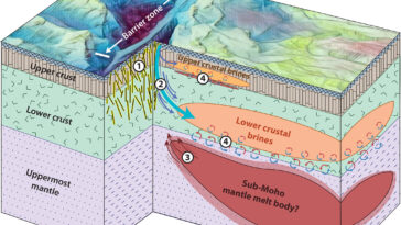Crustal Brines à une faute de transformation océanique: de nouvelles recherches explorent les processus géologiques le long des limites des plaques